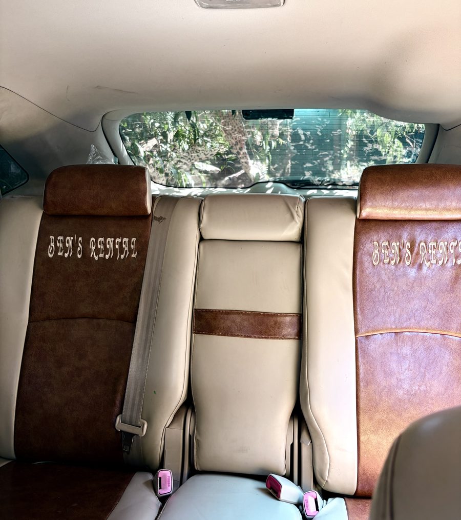 Lexus RX leather interior